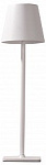 Настольная лампа декоративная Kink Light Никки 07203-T,01