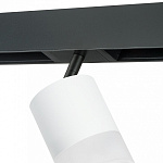 Светильник на штанге Lightstar Rullo PRO348681, фото 4