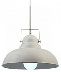 Подвесной светильник Arte Lamp Martin A5213SP-1WG, фото 2