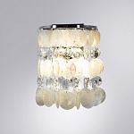 Накладной светильник Arte Lamp Pipirima A4041AP-2CC, фото 3