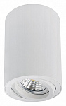 Накладной светильник Arte Lamp Sentry A1566PL-1WH, фото 2