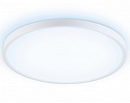 Накладной светильник Ambrella Light FZ FZ3005
