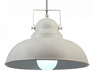 Подвесной светильник Arte Lamp Martin A5213SP-1WG, фото 4