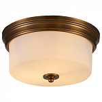 Накладной светильник Arte Lamp Alonzo A1735PL-3SR, фото 1