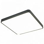 Накладной светильник Arte Lamp Scena A2669PL-1BK, фото 2