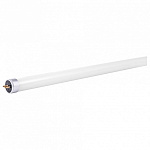 Лампа светодиодная Jazzway T5 G5 8Вт 6500K 5016040