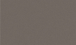 654769 Обои Wall-Up (1*6) 10,05х1,06 винил на флизелине