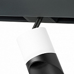 Светильник на штанге Lightstar Rullo PRO348687, фото 4