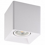 Накладной светильник Denkirs DK3030 DK3030-WH