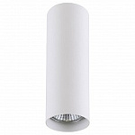 Накладной светильник Lightstar Rullo 214496