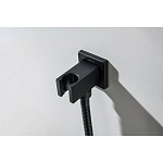 AQ2463MB шланговое подсоединение с держателем, матовый черный, фото 4