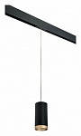 Подвесной светильник Lightstar Rullo PRORP648790, фото 2