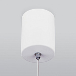 Подвесной светильник Elektrostandard DLS028 a047769, фото 4