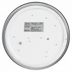 Накладной светильник Эра Relict Relict 22 SPB-6-20 4К WH, фото 2