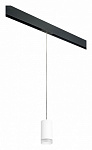 Подвесной светильник Lightstar Rullo PRORP43630, фото 2