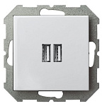 Розетка 2хUSB type A без рамки LIREGUS EPSILON 28-0352, фото 2