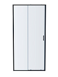 AQ ARI RA 10020GM Душевая дверь двухэлементная, раздвижная1000x2000 профиль оружейная сталь, стекло прозрачное, фото 3