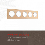 Рамка на 5 постов Arte Milano am-502.01 502.01-5.shampan, фото 3