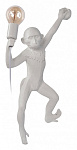 Бра Loft it Monkey 10314W/A, фото 2