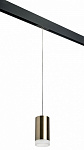 Подвесной светильник Lightstar Rullo PRORP43130, фото 2