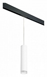 Подвесной светильник Lightstar Rullo PRORP49630, фото 2