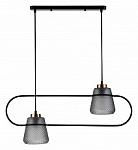 Подвесной светильник Indigo Astratto 11016/2P Black