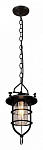 Подвесной светильник Loft it Warehouse LOFT1141, фото 3