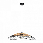 Подвесной светильник Arte Lamp Woodstock A7061SP-1BK, фото 3