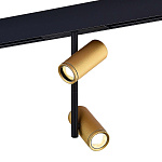 ST808.246.16 Магнитный трековый светильник Золотистый LED 1*16W 4000K 1 250Lm Ra>90 36° IP20 D45xH24 СКАЙЛАЙН 48V