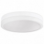 Накладной светильник Ambrella Light FA FA9431