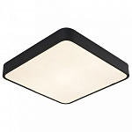 Накладной светильник Arte Lamp Scena A2663PL-1BK, фото 2
