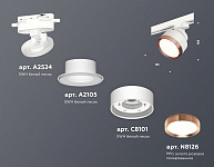Светильник на штанге Ambrella Light XT XT8101005, фото 4