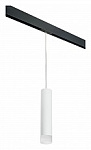 Подвесной светильник Lightstar Rullo PRORP49631
