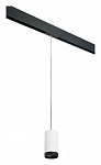 Подвесной светильник Lightstar Rullo PRORP4363437, фото 2