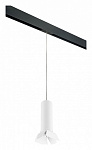 Подвесной светильник Lightstar Rullo PRORP496436, фото 2