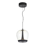 SL6014.423.01 Светильник подвесной ST-Luce Черный/Прозрачный, Черный LED 1*17W 3000K РИПЛ, фото 4