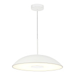 SL6128.503.01 Светильник подвесной ST-Luce Белый/Белый LED 1*24W 3000K ЛИДИА, фото 1