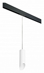 Подвесной светильник Lightstar Rullo PRORP48636, фото 2