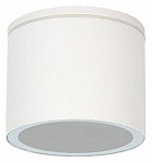Накладной светильник Arte Lamp Piautos A1913PF-1WH, фото 1