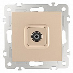 ТВ-розетка без рамки Arte Milano am-206 206.43-1.shampan