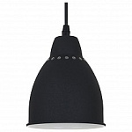 Подвесной светильник Arte Lamp Braccio A2054SP-1BK