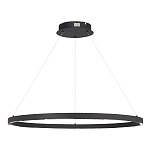 SL6238.443.01 Светильник подвесной ST-Luce черный/черный LED 1*43W 4000K ПАРИЛЛА