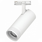 Светильник на штанге Lightstar Canno Pro C4206SS