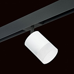 Светильник на штанге Lightstar Rullo PRO348681, фото 3