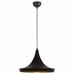 Подвесной светильник Arte Lamp Capello A3406SP-1BK, фото 2