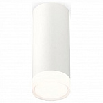 Накладной светильник Ambrella Light XS XS7442014