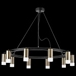 Подвесная люстра Lightstar Rullo LR0203101, фото 4