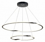 Подвесной светильник Arte Lamp Veritate A2211SP-2BK, фото 1