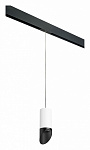 Подвесной светильник Lightstar Rullo PRORP43637, фото 2