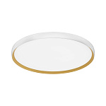 SLE1810-502-01 Светильник потолочный Белый, Золотистый/белая LED 1*42W 4000K ХЕЛЬСТ